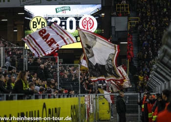 30_bvb-a_1819