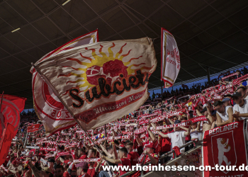 29_tsg_a_2425-11