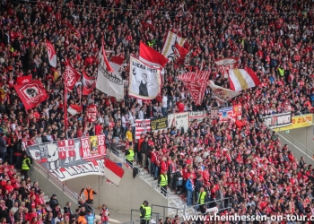 14_IMG_3931bb