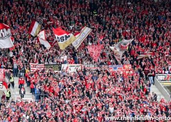 15_IMG_9119bb