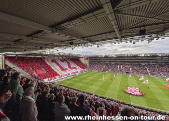 31-fck-h-2324-24