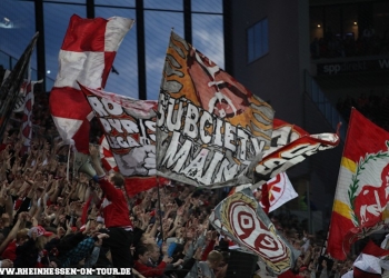08_vfl