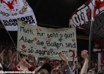 15_vfl