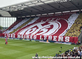 33-vfb-h-2223-19