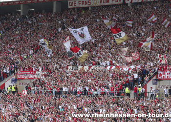 33-vfb-h-2223-40