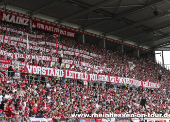33-vfb-h-2223-44