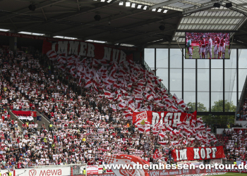 33-vfb-h-2223-53