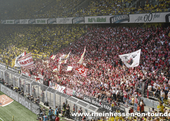 33-bvb-a-2223-13