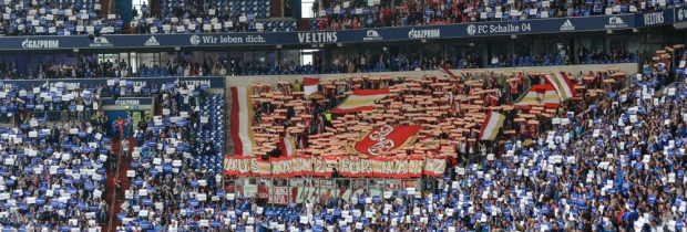 04. Spieltag: FC Schalke 04 - 1. FSV Mainz 05