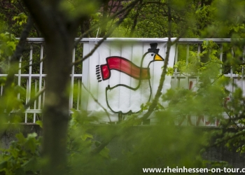 07_gaensje-in-meenz