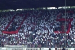 bild1