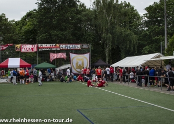 10__DSC3098bb