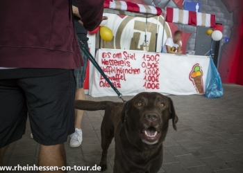 16_Q-Sommerfest-2018