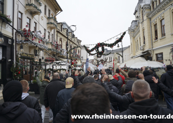 UECL_a_craiova_2526-8