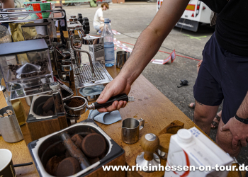 02_wildesgeballe_h_2526-12