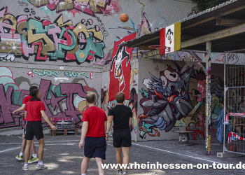 Online_wildesgeballe_2627-2